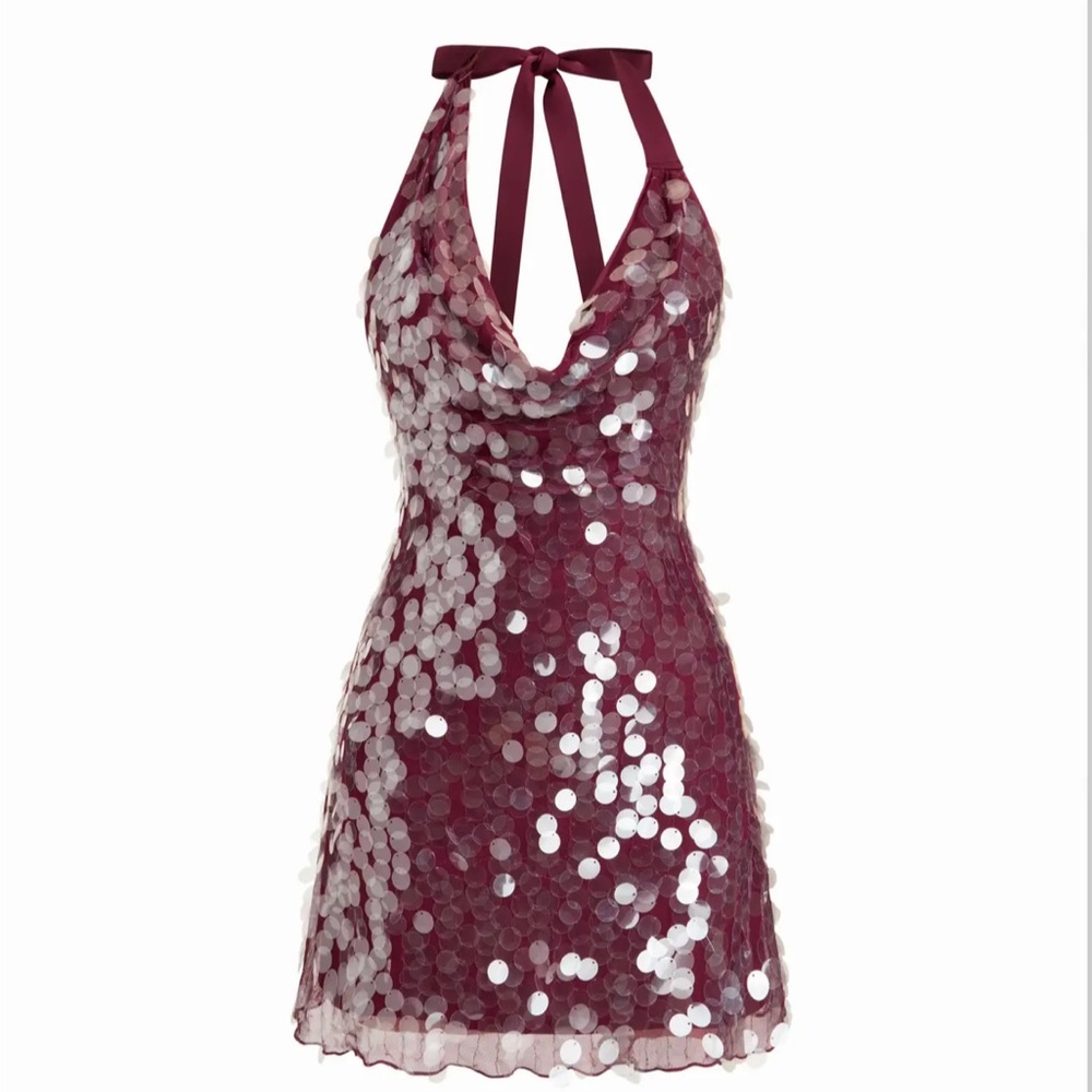 Cider Sparkling Wine Sequin Mini Dress